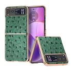 For Motorola Razr 40 Nano Plating Genuine Leather Ostrich Texture Phone Case(Green) - 1