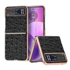 For Motorola Razr 40 Nano Plating Genuine Leather Ostrich Texture Phone Case(Black) - 1
