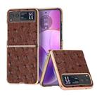 For Motorola Razr 40 Nano Plating Genuine Leather Ostrich Texture Phone Case(Coffee) - 1