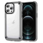 For iPhone 12 Pro Skin Feel TPU + PC Phone Case(Transparent Black) - 1
