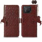 For Asus Zenfone 8 Ostrich Pattern Genuine Leather RFID Phone Case(Coffee) - 1