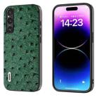 For Sony Xperia 1 V ABEEL Genuine Leather Ostrich Texture Phone Case(Green) - 1