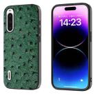 For Sony Xperia 10 V ABEEL Genuine Leather Ostrich Texture Phone Case(Green) - 1