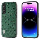 For Sony Xperia 1 IV ABEEL Genuine Leather Ostrich Texture Phone Case(Green) - 1