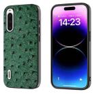 For Sony Xperia 10 IV ABEEL Genuine Leather Ostrich Texture Phone Case(Green) - 1