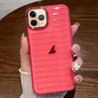 For iPhone 11 Pro Max Striped Electroplating TPU Transparent Phone Case(Fluorescent Red) - 1
