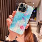 For iPhone 13 Pro Max Colorful Crystal Shell Pattern PC + TPU Phone Case(Fish-scales Blue) - 1