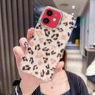 For iPhone 11 Colorful Crystal Shell Pattern PC + TPU Phone Case(Light Leopard) - 1