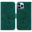 For iPhone 15 Pro Butterfly Rose Embossed Leather Phone Case(Green) - 1