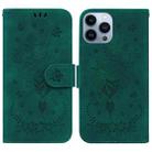 For iPhone 14 Pro Butterfly Rose Embossed Leather Phone Case(Green) - 1