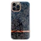 For iPhone 13 Pro Max Electroplating Shell Texture TPU Phone Case(Black) - 1