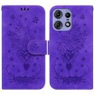 For Motorola Edge 50 Pro Butterfly Rose Embossed Leather Phone Case(Purple) - 1