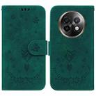 For Realme 13+ Global Butterfly Rose Embossed Leather Phone Case(Green) - 1