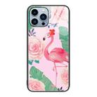 For iPhone 15 Pro Colorful Painted Glass Phone Case(Flamingo) - 1