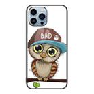 For iPhone 15 Pro Colorful Painted Glass Phone Case(Owl) - 1