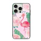 For iPhone 16 Pro Max Colorful Painted Glass Phone Case(Flamingo) - 1