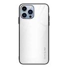 For iPhone 15 Pro Max Texture Gradient Glass TPU Phone Case(White) - 1
