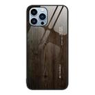 For iPhone 15 Pro Wood Grain Glass Phone Case(Black) - 1