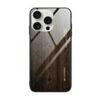 For iPhone 16 Pro Max Wood Grain Glass Phone Case(Black) - 1