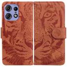 For Motorola Edge 50 Pro Tiger Embossing Pattern Leather Phone Case(Brown) - 1