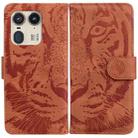 For Motorola Edge 50 Ultra Tiger Embossing Pattern Leather Phone Case(Brown) - 1