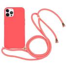 For iPhone 15 Pro Max Wheat Straw TPU Shockproof Phone Case with Neck Lanyard(Red) - 1