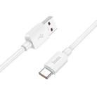 hoco X96 Hyper 1m 100W USB to USB-C / Type-C Fast Charging Data Cable(White) - 1