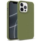 For iPhone 15 Pro Max Starry Series Shockproof Straw Material + TPU Protective Case(Army Green) - 1