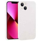 For iPhone 15 Plus Starry Series Shockproof Straw Material + TPU Protective Case(Starlight) - 1