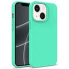 For iPhone 15 Starry Series Shockproof Straw Material + TPU Protective Case(Green) - 1