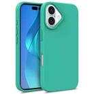 For iPhone 16 Starry Series Shockproof Straw Material + TPU Protective Case(Green) - 1