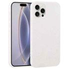 For iPhone 16 Pro Starry Series Shockproof Straw Material + TPU Protective Case(Starlight) - 1