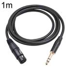 6.35mm 1/4 TRS Male to XLR 3pin Female Microphone Cable, Length:1m - 1