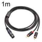 RCA20 XLR Female to Dual RCA Y-Splitter Audio Cable, Length:1m - 1