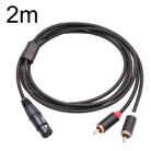 RCA20 XLR Female to Dual RCA Y-Splitter Audio Cable, Length:2m - 1