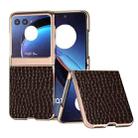 For Motorola Razr 40 Ultra Crocodile Texture Genuine Leather Nano Electroplating Phone Case(Coffee) - 1