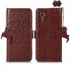 For Samsung Galaxy Xcover 7 Ostrich Pattern Genuine Leather RFID Phone Case(Coffee) - 1