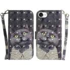 For iPhone SE 2024 3D Colored Horizontal Flip Leather Phone Case(Hug Cat) - 1