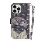 For iPhone 16 Pro Max 3D Colored Horizontal Flip Leather Phone Case(Hug Cat) - 3