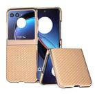 For Motorola Razr 40 Ultra Nano Electroplating Carbon Fiber Texture Phone Case(Gold) - 1