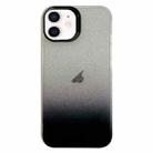 For iPhone 11 Double Sided IMD Gradient Glitter PC Phone Case(Black) - 1