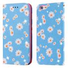 For iPhone 6 Plus Glittering Daisy Magnetic Horizontal Flip Leather Case with Holder & Card Slots & Photo Frame(Blue) - 1