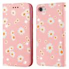 For iPhone SE 2022 / SE 2020 / 8 / 7 Glittering Daisy Magnetic Horizontal Flip Leather Case with Holder & Card Slots & Photo Frame(Pink) - 1