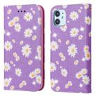 For iPhone 11 Glittering Daisy Magnetic Horizontal Flip Leather Case with Holder & Card Slots & Photo Frame(Purple) - 1