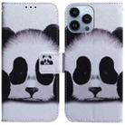 For iPhone 15 Pro Max Coloured Drawing Flip Leather Phone Case(Panda) - 1