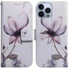 For iPhone 15 Pro Max Coloured Drawing Flip Leather Phone Case(Magnolia) - 1