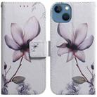 For iPhone 15 Plus Coloured Drawing Flip Leather Phone Case(Magnolia) - 1