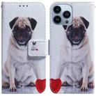 For iPhone 14 Pro Max Coloured Drawing Flip Leather Phone Case(Pug) - 1