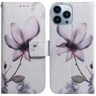 For iPhone 14 Pro Max Coloured Drawing Flip Leather Phone Case(Magnolia) - 1