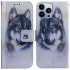 For iPhone 14 Pro Coloured Drawing Flip Leather Phone Case(White Wolf) - 1